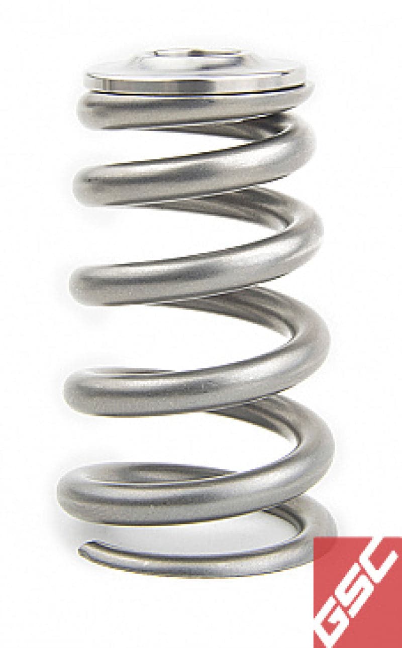 Supertech Mitsubishi 4G63 Dual Valve Spring Kit main image 0