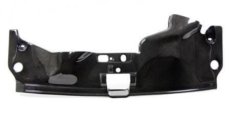 APR CF Radiator Cooling Panel EVO 10 |