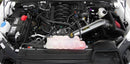 AEM Induction 21-8129DC Brute Force Cold Air Intake System for Ford F-150 2015-2016 5.0L V8
