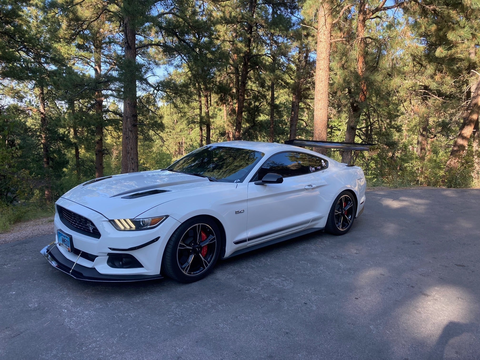 APR Peformance  Ford Mustang S550 GT-250 Adjustable Wing 2015-2017