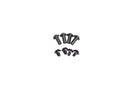 APR Performance Titanium Bolts Barrel Post and Screw Pack