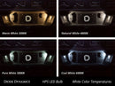Diode Dynamics 194 HP5 LED Bulb - Red, High Power, Direct Replacement for Audi S5 and Volkswagen Passat