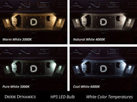 Diode Dynamics 194 HP5 LED Bulb - Warm White - High Power Replacement for Audi S5 and Volkswagen Passat