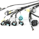 Rywire Honda B-Series OBD2 Tuck Budget Engine Harness with OBD2 Distributor, Injector, Alternator, 92-95 OBD1 Plug Adapter Included
