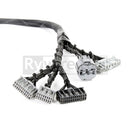 Rywire Honda B-Series OBD1 Tuck Budget Engine Harness with OBD1 Distributor, Injector, Alternator, and 92-95 ECU Plugs (Adapter Required)
