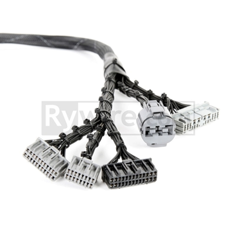 Rywire Honda B-Series OBD1 Tuck Budget Engine Harness with OBD1 Distributor, Injector, Alternator, and 92-95 ECU Plugs (Adapter Required)