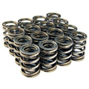 BLOX Racing Valve Springs for B18A-B / B20 Engines - Compatible with Acura Integra 1997-2001