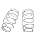 HKS MAX 4 SP BNR34 Rear Springs w/ 8K Spring Rate ( 1790-HD030 ) (G48311-K00470-00)