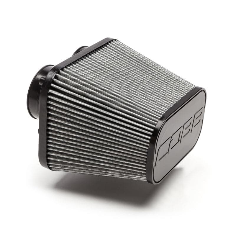 Cobb 17-20 Ford F-150 Raptor High Flow Replacement Dry Media Air Filte ...