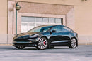 Rally Armor 17+ Tesla Model 3 UR Guardabarros negro con logotipo gris oscuro