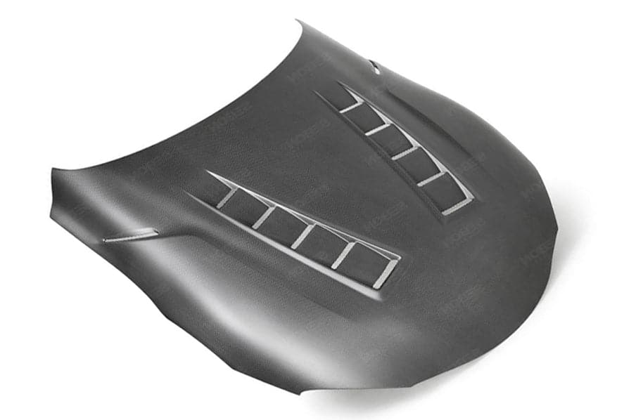 TS-Style Dry Carbon Hood