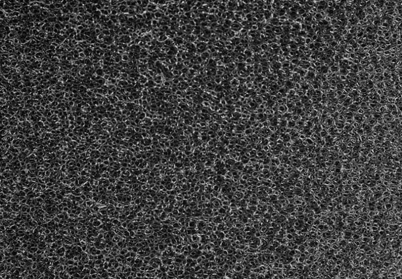 PERRIN Cone Filter with 3.125in Mouth
