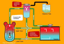Carbing Okuyama Reservoir Tank hose type 0.6L AN6 and AN8