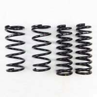 RS-R 13-20 Lexus GS350 AWD (GRL15) Down Sus Springs